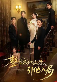 《整容成他初恋，引他入局》