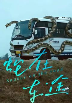 蛇在车途