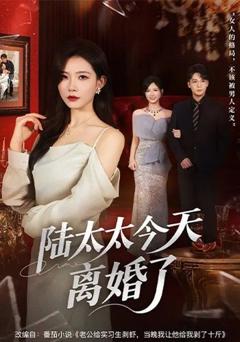 《陆太太今天离婚了》