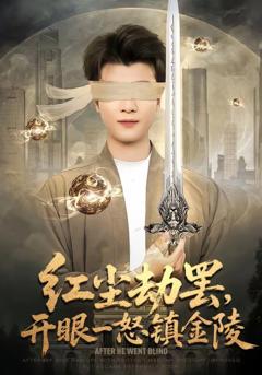 红尘劫罢，开眼一怒镇金陵