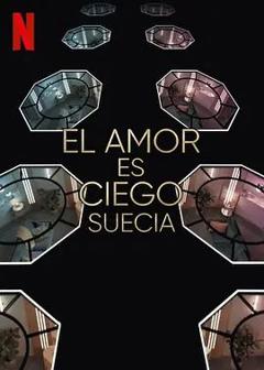 《爱情盲选：瑞典篇第三季》