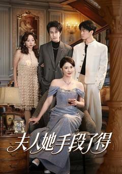 《夫人她手段了得》