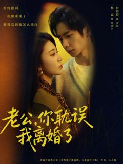 《老公，你耽误我离婚了》