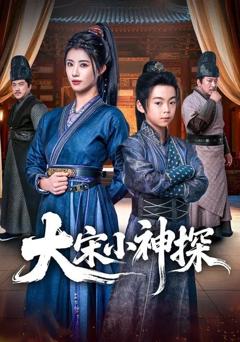 《大宋小神探》
