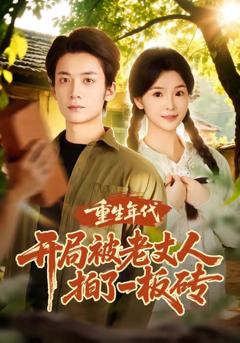 重生年代开局被老丈人拍了一板砖