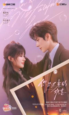 《你是迟来的欢喜（2026）》