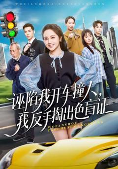 诬陷我开车撞人，我反手掏出色盲