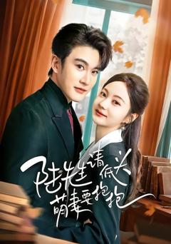 《陆先生请低头萌妻要抱抱》