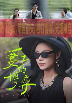 《妻子的博弈》