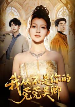 《我从不是你的莞莞类卿》