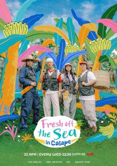 《姐姐的产地直送in卡拉佩》